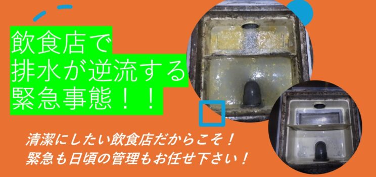 飲食店で排水が逆流する緊急事態！！